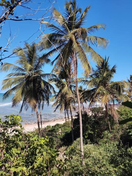 Flat Com Vista Piscina Em Solaragua *